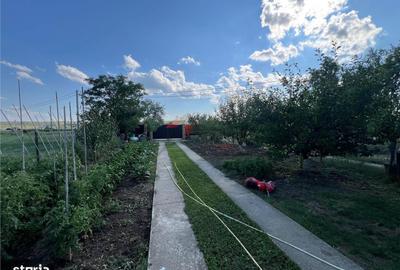 Casă cu 4 camere în Banu - 16