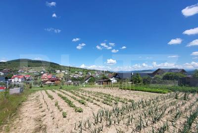 Teren 1400 mp Viitor Intravilan, Zona Drumul Tarpiului - - 2