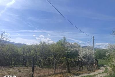 Teren de 554 mp, în Central - 5