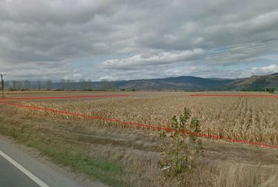 Teren de 4900 mp, în Băcăinți - 8