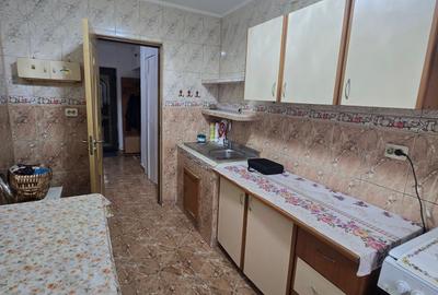 Apartament cu 2 camere decomandat, mobilat în Gorjului - 19