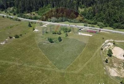 Teren de 5561 mp, în Paltin - 17