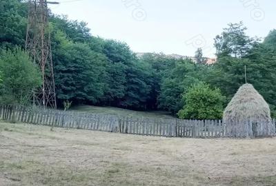 PROPRIETAR !!! Vand Casa in Zlatna - 4