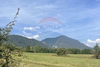 Teren Construcții intravilan de 850 mp, în Tohănița - 5