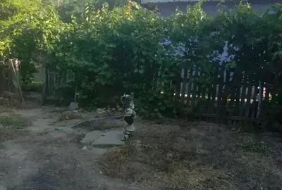 Casă cu 6 camere cu Teren 6000 Mp în Mircea Vodă - 6