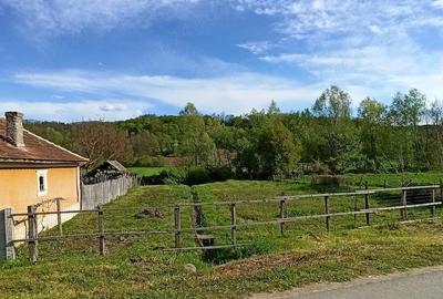 Casă cu Teren 2480 Mp în Păltinișu - 4