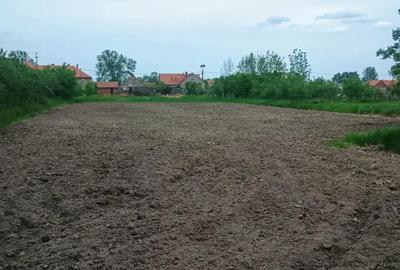 Casă cu 3 camere cu Teren 3000 Mp în Căpăt - 1