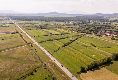 Teren extravilan Lunca Calnicului langa E574 - 12