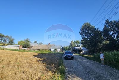 Teren intravilan, 7500 mp in Moara Carp / Strada Eternita... - 4