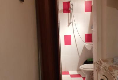 Proprietar inchiriez garsoniera Razboieni - 4