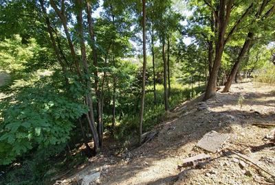 Teren de 1561 mp, în Bela - 8