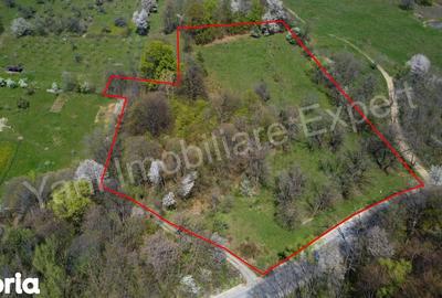 Teren de 15856 mp, în Valea Iașului - 2
