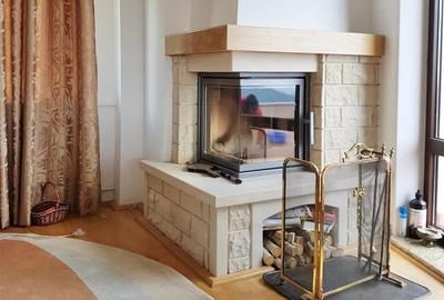 Vila de vanzare in Ranca, la baza partiei Papusa  sauna, jacuzzi - 4