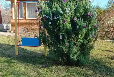 Vand casa la curte - 1