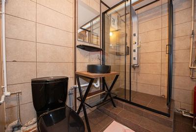 Vila de vanzare D+P+M in zona Muncii - 14