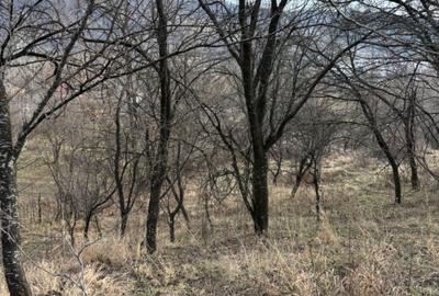 Spațiu comercial, în Central - 6