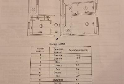 Apartament cu 3 camere decomandat în Podu Roș - 8