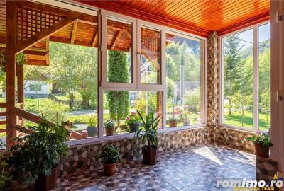 Case si teren generos de 9400 mp in Dambovicioara, Arges - 19