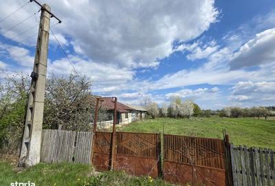 Casă cu 3 camere cu Teren 20000 Mp în Leleasca