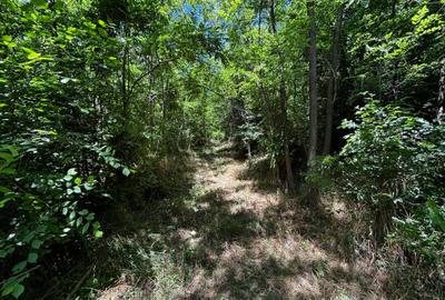 Teren intravilan de 6857 mp, în Bujoreni - 3