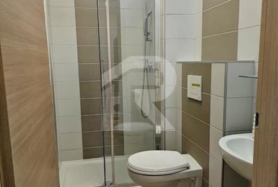 Apartament cu 3 camere decomandat, mobilat în Domnești - 19