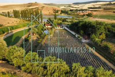 Domeniu, Afacere de vanzare, Sebe?, Alba, balta pescuit, ferma lavanda - 1
