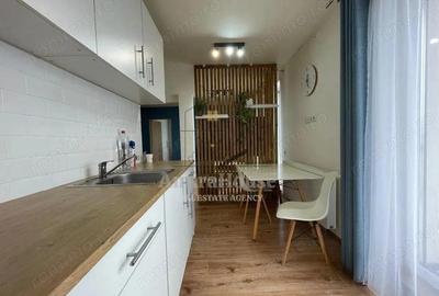 Apartament 2 camere de inchiriat, 47 mp cu terasa 21 mp, str Razoare Vivo - 14