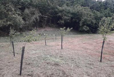 Spațiu comercial, în Uileacu Șimleului - 1