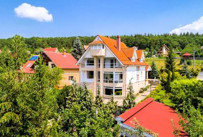 Proprietate unică pe malul lacului Moacșa – liniște, rafinament, eleganta - 4