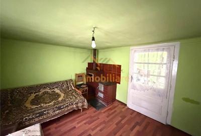 Casă cu 4 camere cu Teren 2846 Mp în Aștileu - 12
