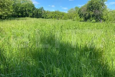 Casă cu 4 camere cu Teren 2000 Mp în Central - 2