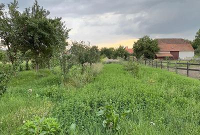 Vanzare casa + teren Sanpetru, Bra?ov - 3