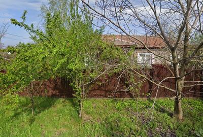 Casă individuală cu 3 camere cu Teren 1000 Mp în Plumbuita - 2