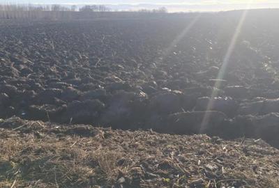 Teren de 2600 mp, în Rădăuți