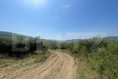 Livada Crainimat 30 ari, extravilan - 1