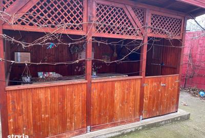 Casă cu 5 camere cu Teren 1347 Mp în Giarmata - 9