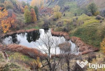 Teren de 8000 mp, în Dâlbocița - 1