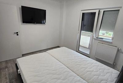 Apartament cu 2 camere decomandat în Micălaca - 5