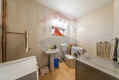 Spa?iu industrial cu potential de vanzare in Paulis,Arad - 12