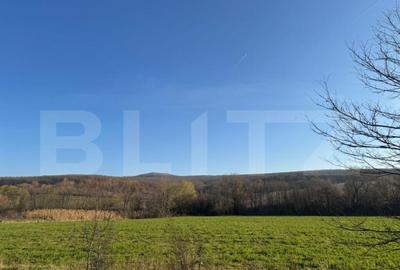 5 terenuri extravilane agricole cu suprafata totala de 13.37 - 2