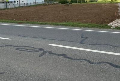 Parcele teren intravilan, 580 mp, Pielesti - 1