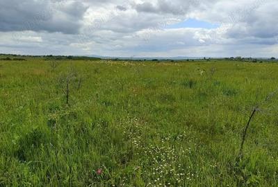 Vand teren extravilan - 3