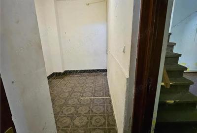 Doua case vecine, cu vad, in Bucure #537;ti, Tineretului, Parcul Carol - 4