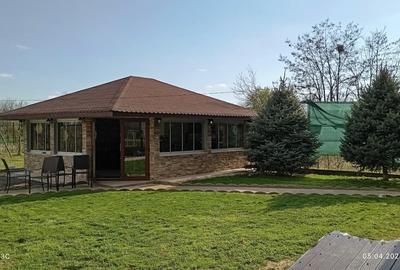 Casa individuala Ogrezeni - 7