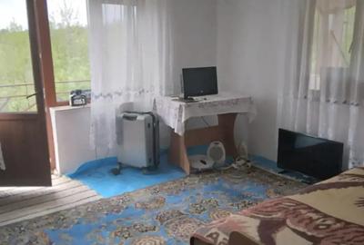 Casă cu 4 camere cu Teren 30000 Mp în Fârtățești - 5