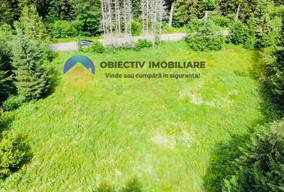 Teren Construcții intravilan de 14114 mp, în Schitu Tarcău - 10
