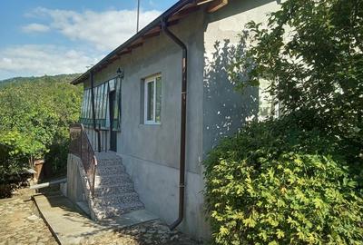 Casă cu 6 camere în Chiojdeanca - 1