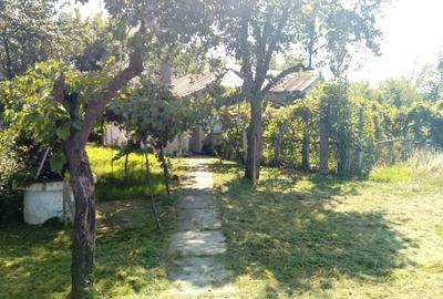 Casă cu Teren 2520 Mp în Moreni - 3