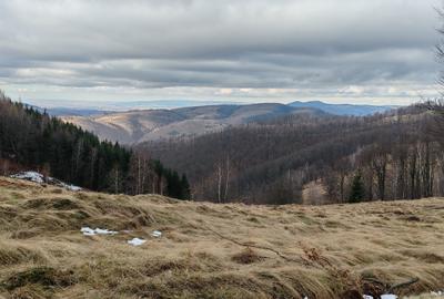 19,5 Ha  TEREN PEISAJ PANORAMIC SPECTACULOS zona turistica montana BULZ -  BIHOR - 3