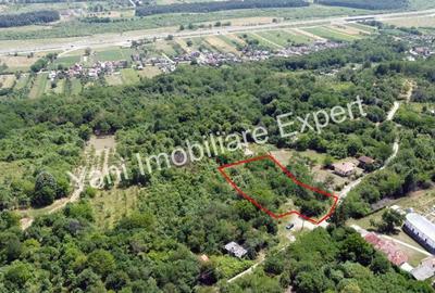 Teren de 2270 mp, în Valea Brazilor - 3